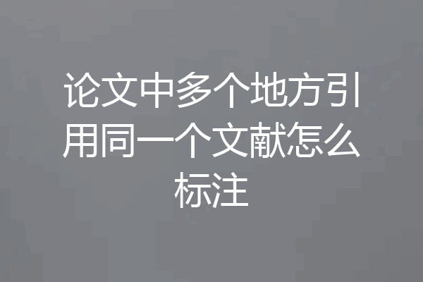 论文中多个地方引用同一个文献怎么标注