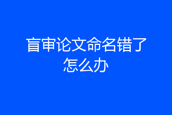 盲审论文命名错了怎么办