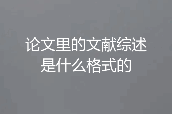 论文里的文献综述是什么格式的