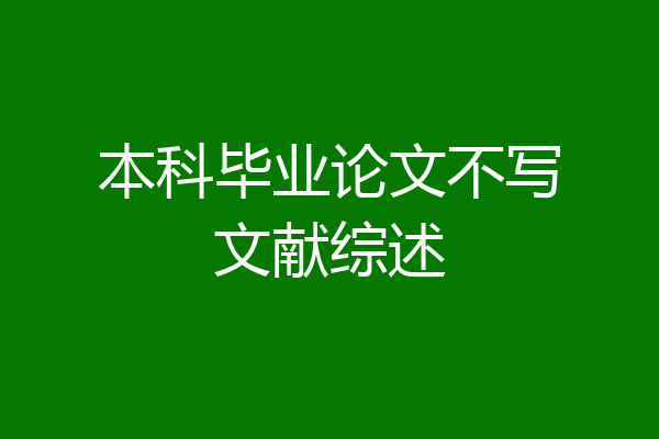 本科毕业论文不写文献综述