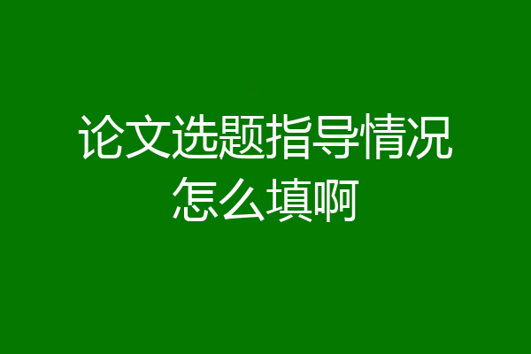 论文选题指导情况怎么填啊