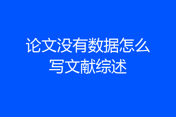 论文没有数据怎么写文献综述