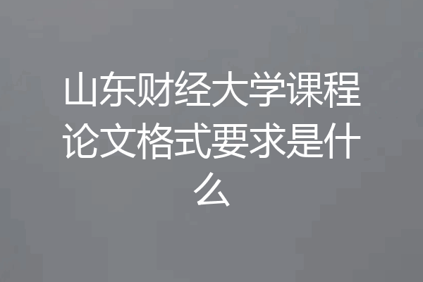山东财经大学课程论文格式要求是什么