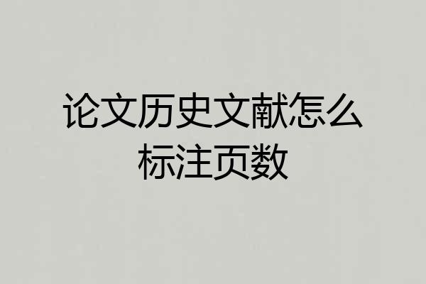 论文历史文献怎么标注页数
