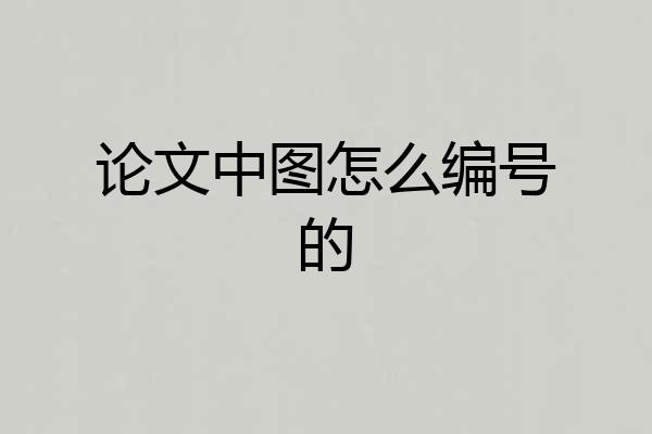 论文中图怎么编号的