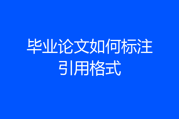毕业论文如何标注引用格式