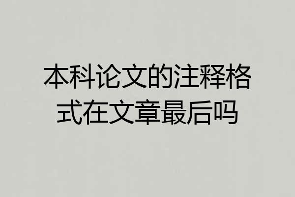 本科论文的注释格式在文章最后吗