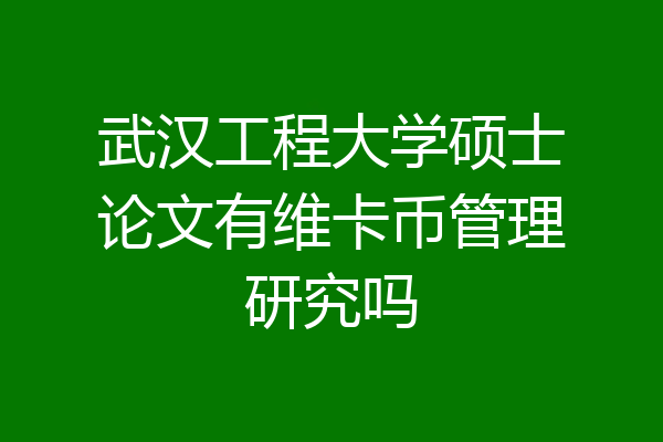 武汉工程大学硕士论文有维卡币管理研究吗