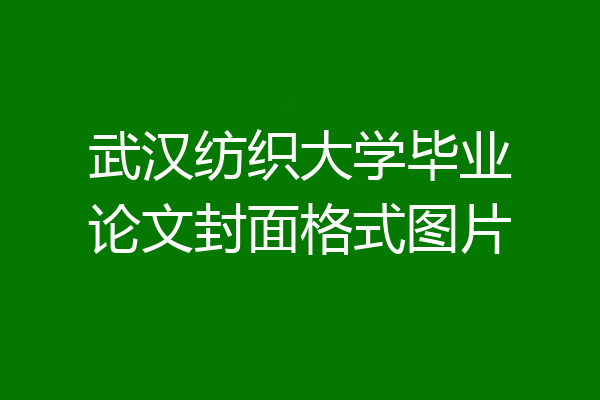 武汉纺织大学毕业论文封面格式图片