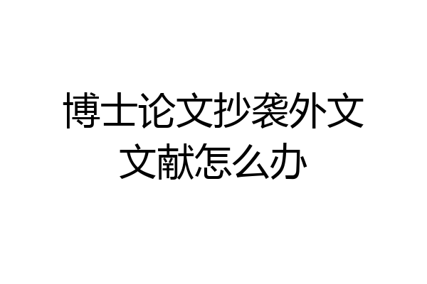 博士论文抄袭外文文献怎么办