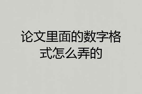 论文里面的数字格式怎么弄的