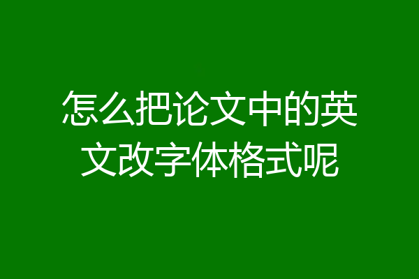 怎么把论文中的英文改字体格式呢