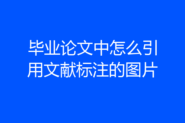 毕业论文中怎么引用文献标注的图片