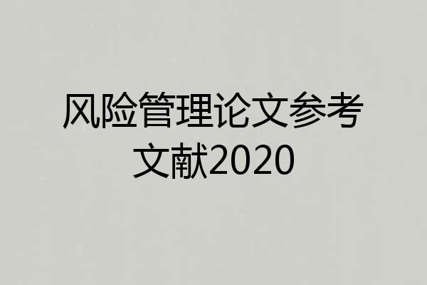 风险管理论文参考文献2020
