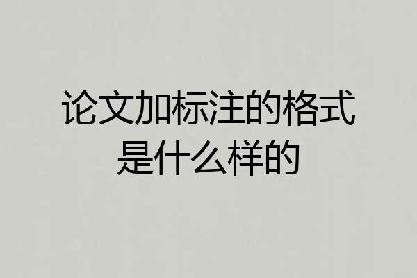 论文加标注的格式是什么样的