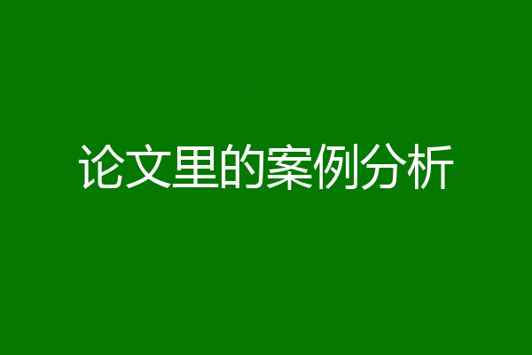 论文里的案例分析