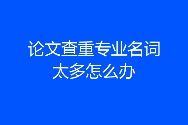 论文查重专业名词太多怎么办