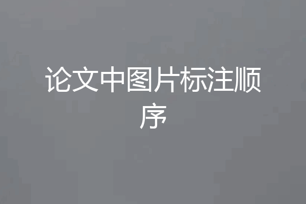 论文中图片标注顺序