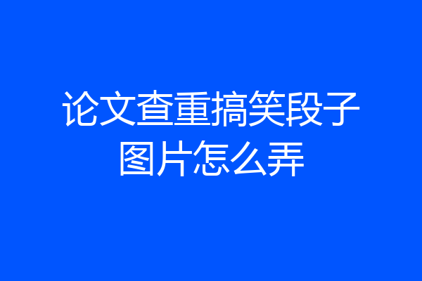 论文查重搞笑段子图片怎么弄
