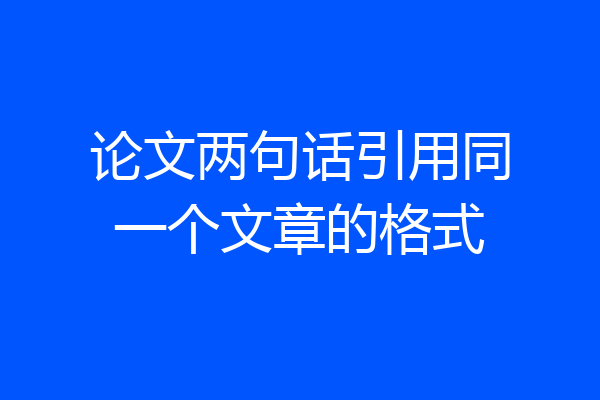 论文两句话引用同一个文章的格式