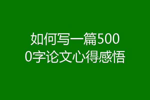 如何写一篇5000字论文心得感悟