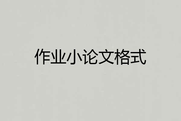 作业小论文格式