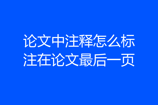 论文中注释怎么标注在论文最后一页