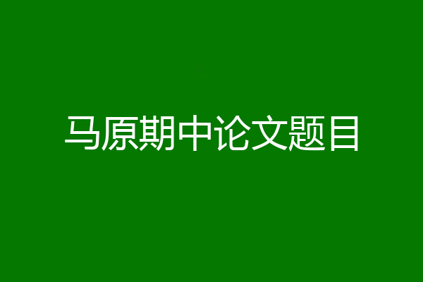 马原期中论文题目