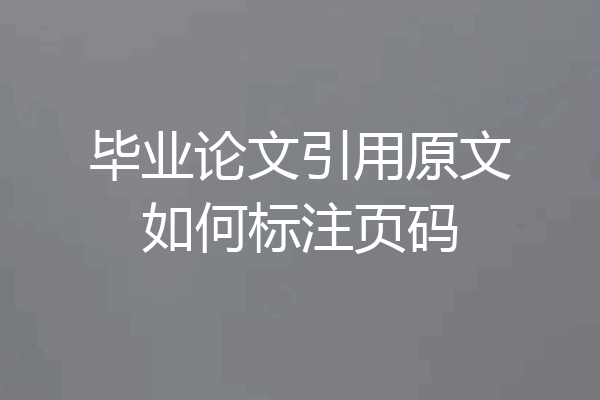 毕业论文引用原文如何标注页码