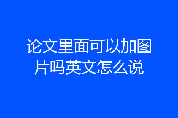 论文里面可以加图片吗英文怎么说