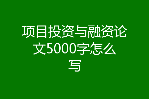 项目投资与融资论文5000字怎么写