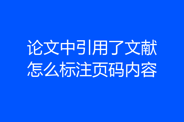 论文中引用了文献怎么标注页码内容