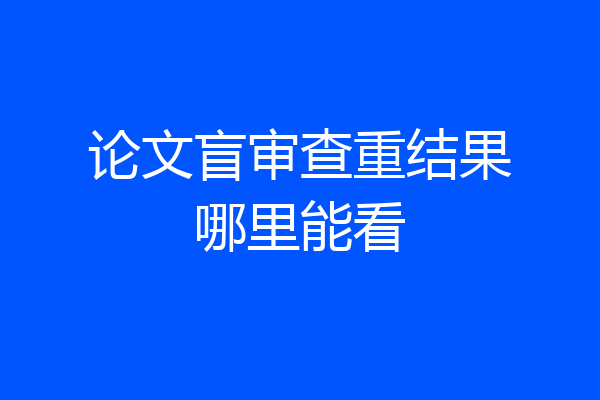 论文盲审查重结果哪里能看
