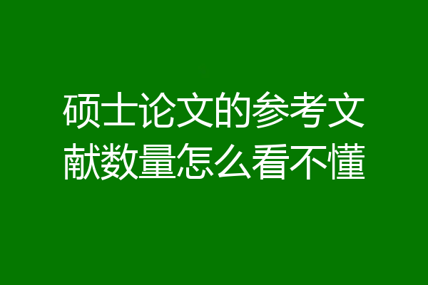 硕士论文的参考文献数量怎么看不懂