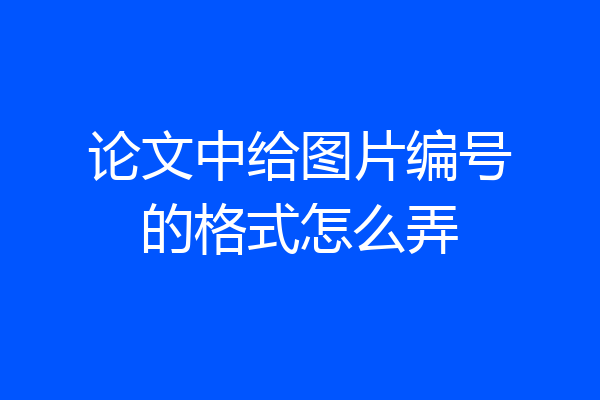 论文中给图片编号的格式怎么弄