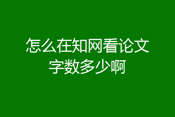 怎么在知网看论文字数多少啊