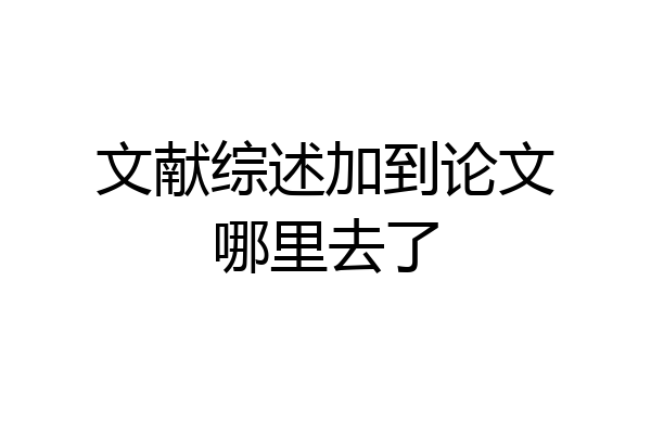 文献综述加到论文哪里去了