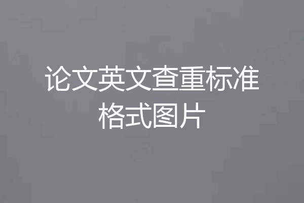 论文英文查重标准格式图片