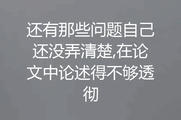 还有那些问题自己还没弄清楚,在论文中论述得不够透彻