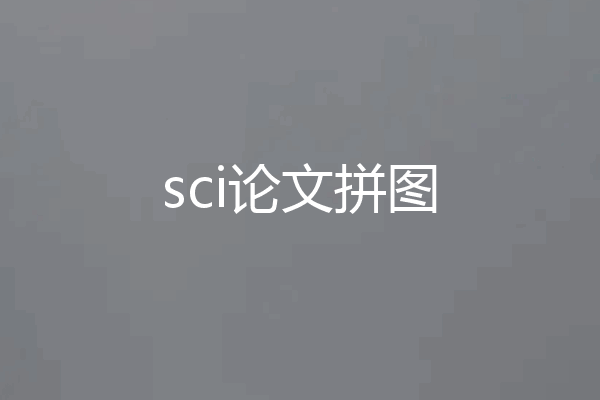 sci论文拼图