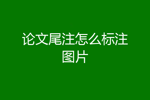 论文尾注怎么标注图片