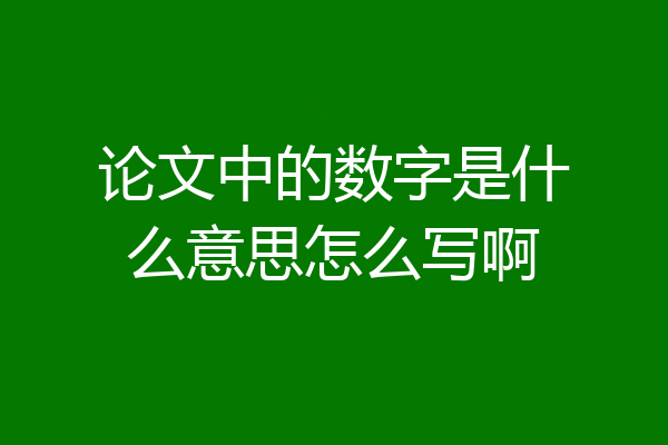 论文中的数字是什么意思怎么写啊