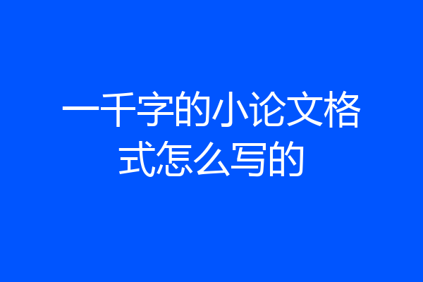 一千字的小论文格式怎么写的