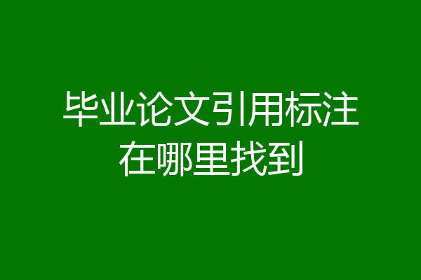 毕业论文引用标注在哪里找到