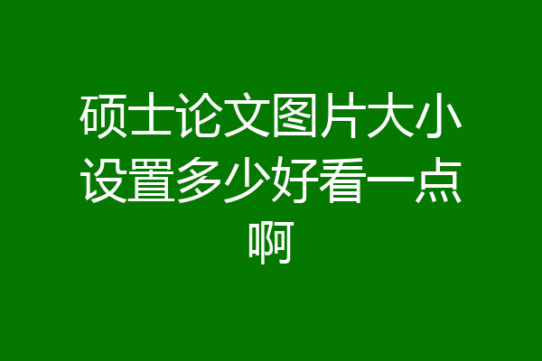 硕士论文图片大小设置多少好看一点啊