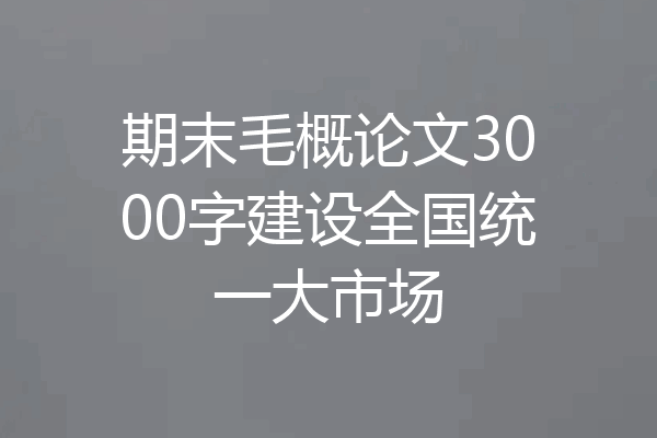期末毛概论文3000字建设全国统一大市场