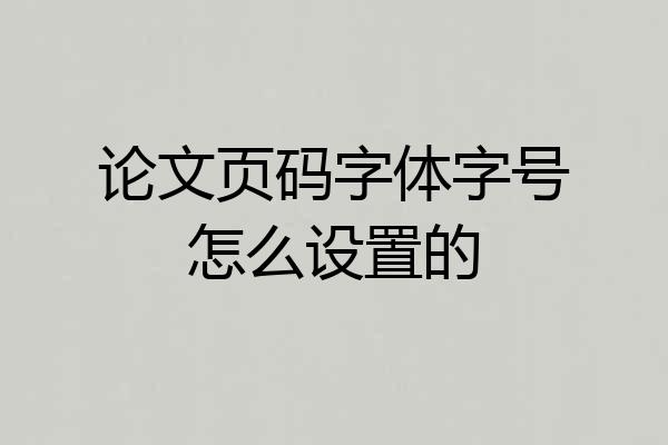 论文页码字体字号怎么设置的