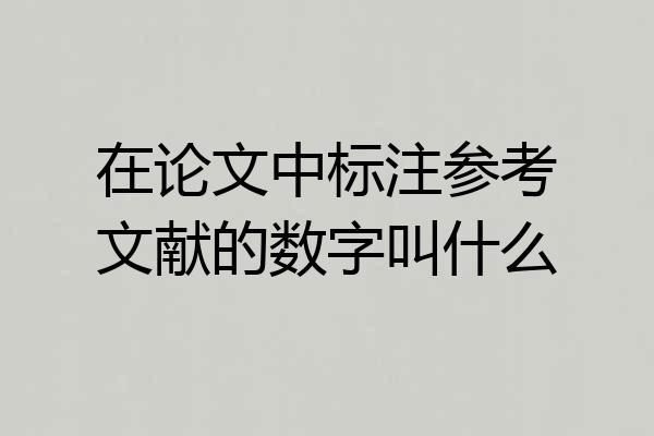 在论文中标注参考文献的数字叫什么