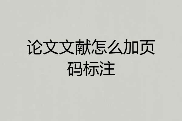 论文文献怎么加页码标注