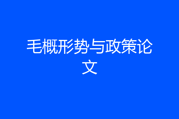 毛概形势与政策论文